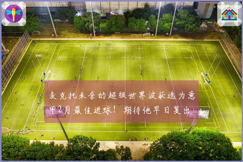 麦克托米奈的超级世界波获选为意甲2月最佳进球！期待他早日复出